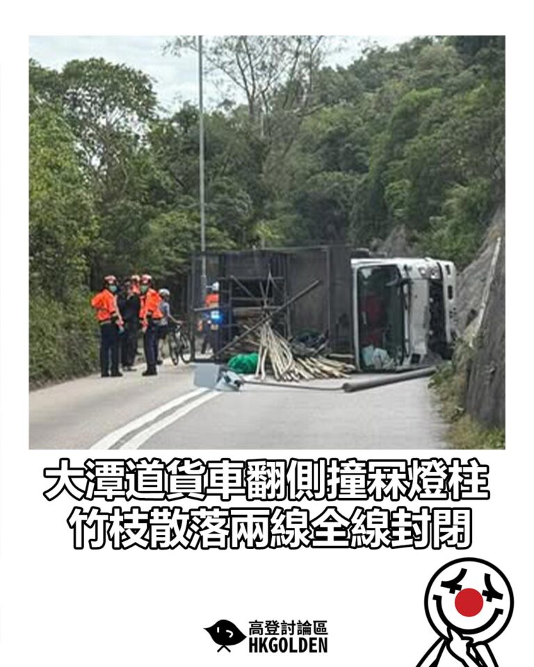 【大潭道貨車翻側撞冧燈柱 竹枝散落兩線全線封閉】
