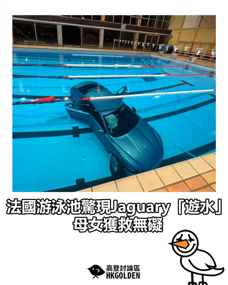 【法國游泳池驚現Jaguary「遊水」 母女獲救無礙】