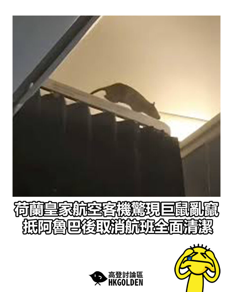 【荷蘭皇家航空客機驚現巨鼠亂竄　抵阿魯巴後取消航班全面清潔】