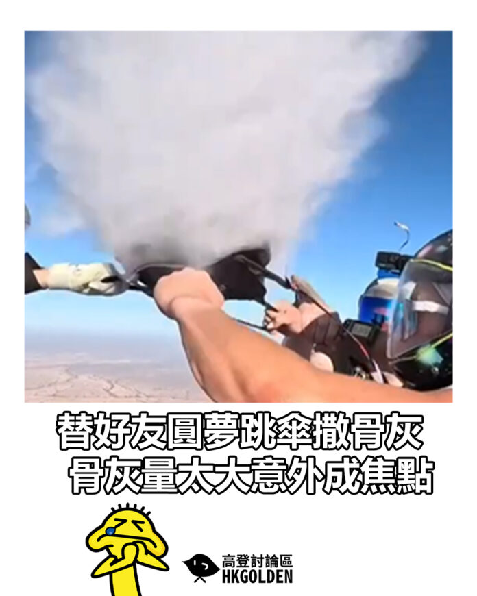 dsgsgasg