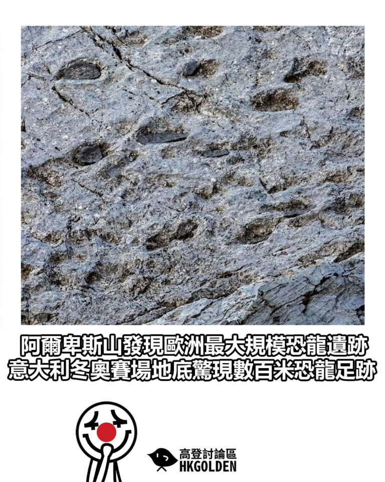 【阿爾卑斯山發現歐洲最大規模恐龍遺跡 意大利冬奧賽場地底驚現數百米恐龍足跡】