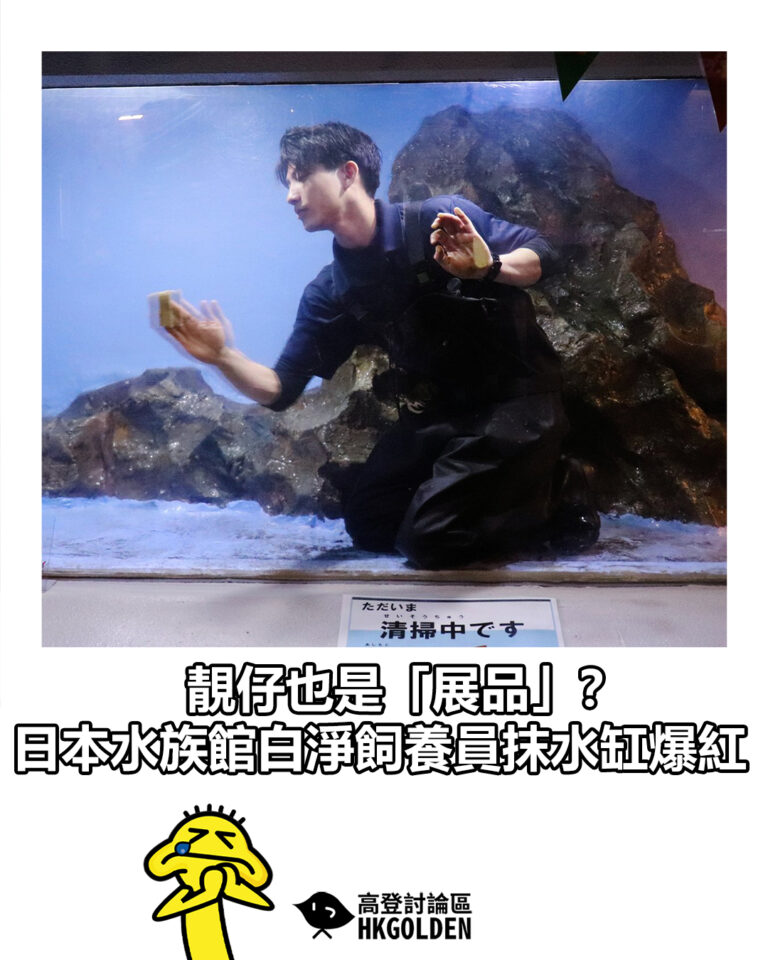 【靚仔也是「展品」？  日本水族館白淨飼養員抹水缸爆紅】