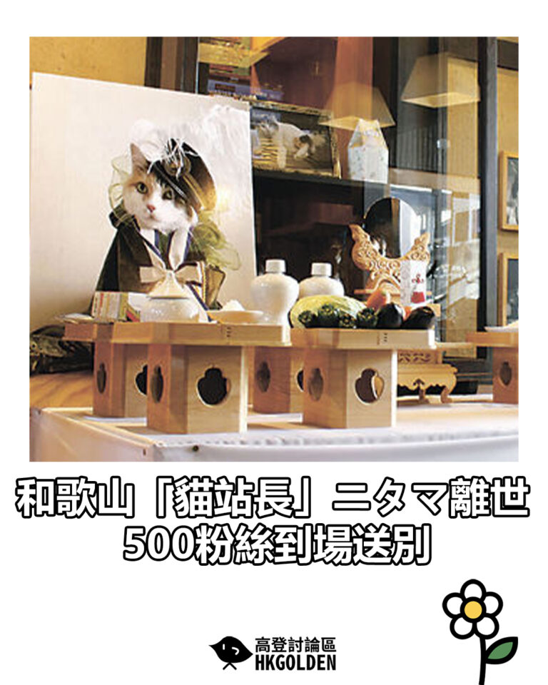 【和歌山「貓站長」ニタマ離世　500粉絲到場送別】