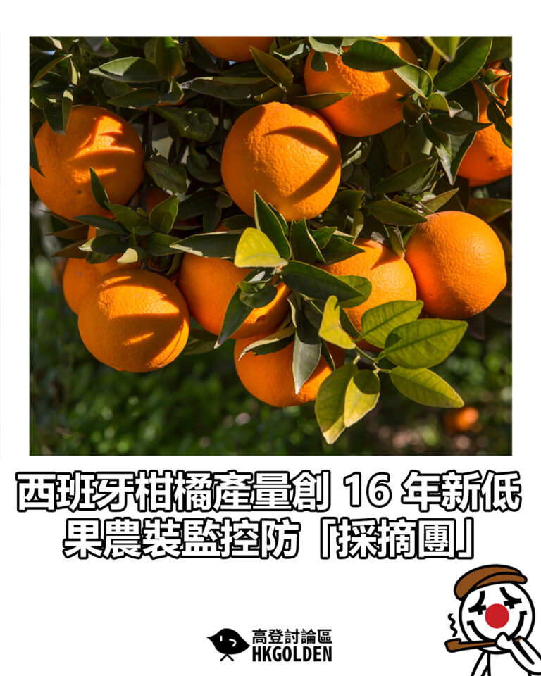 【西班牙柑橘產量創 16 年新低 果農裝監控防「採摘團」】