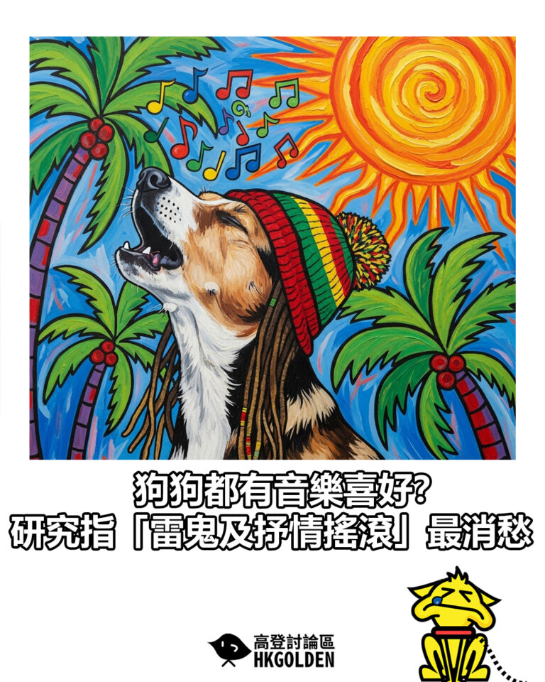 【狗狗都有音樂喜好？ 研究指「雷鬼及抒情搖滾」最消愁】