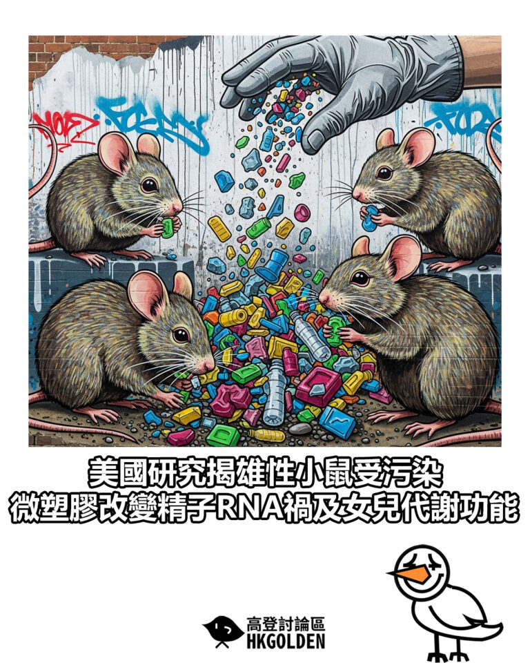 【美國研究揭雄性小鼠受污染 微塑膠改變精子RNA禍及女兒代謝功能】