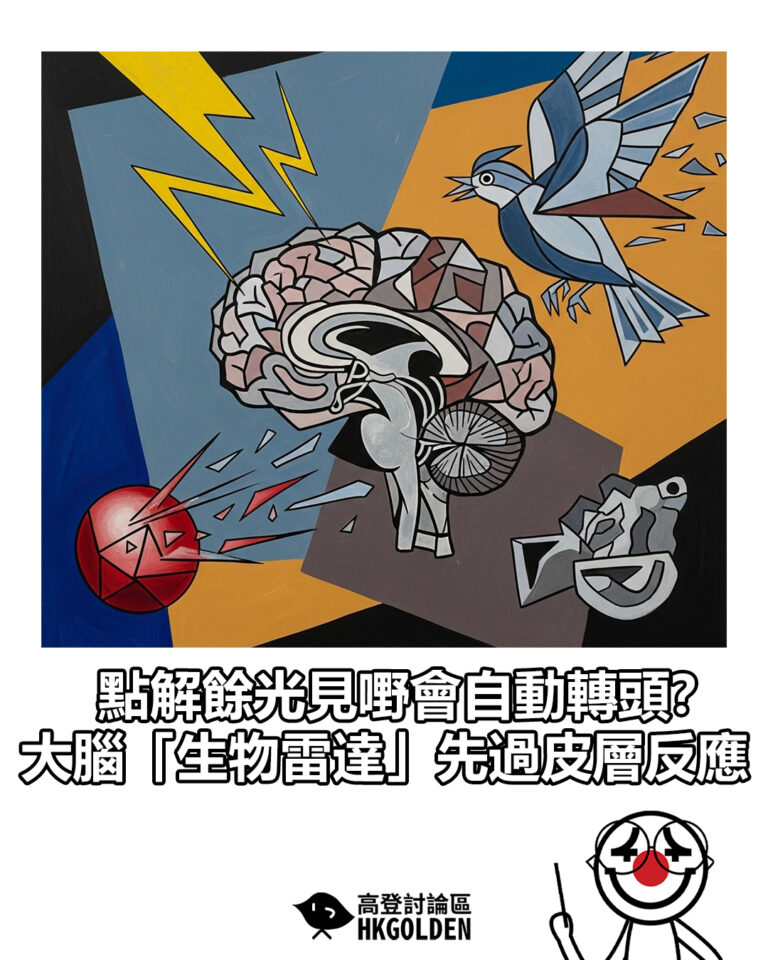 【點解餘光見嘢會自動轉頭？大腦「生物雷達」先過皮層反應】