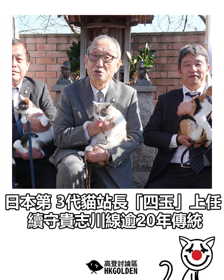 【日本第 3代貓站長「四玉」上任 續守貴志川線逾20年傳統】