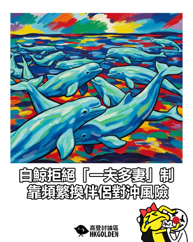 【白鯨拒絕「一夫多妻」制 靠頻繁換伴侶對沖風險】