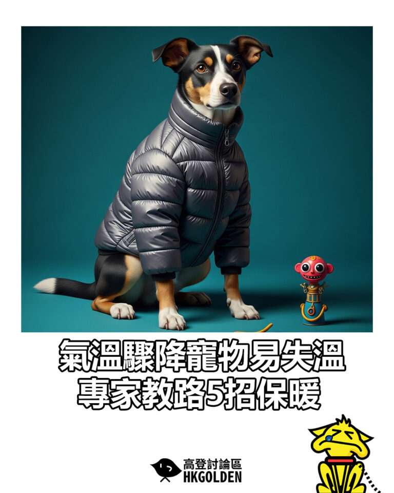 【氣溫驟降寵物易失溫  專家教路5招保暖】