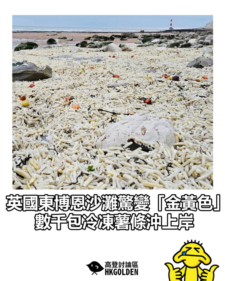 【英國東博恩沙灘驚變「金黃色」 數千包冷凍薯條沖上岸】