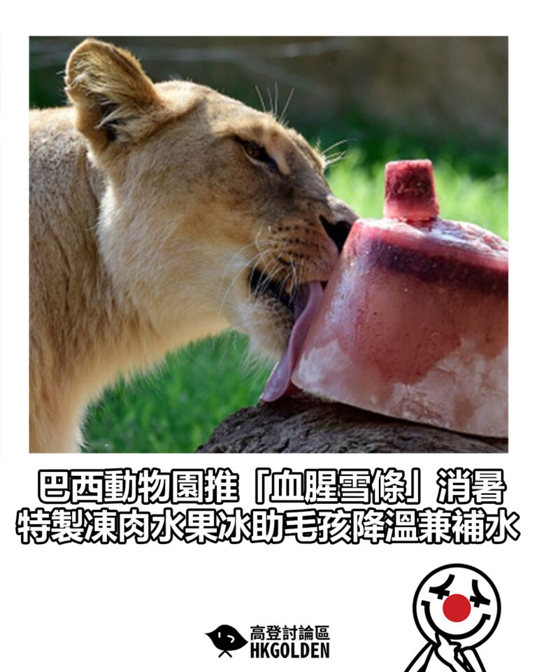【巴西動物園推「血腥雪條」消暑 特製凍肉水果冰助毛孩降溫兼補水】