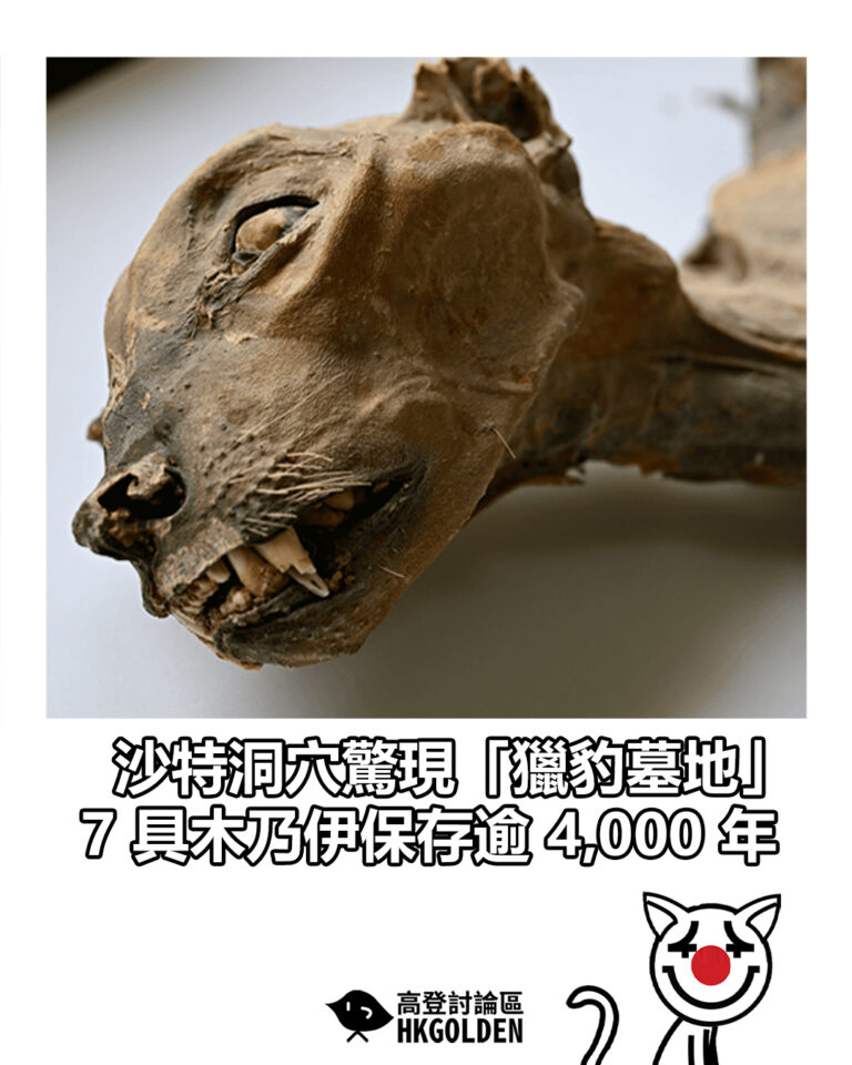 【沙特洞穴驚現「獵豹墓地」  7 具木乃伊保存逾 4,000 年】