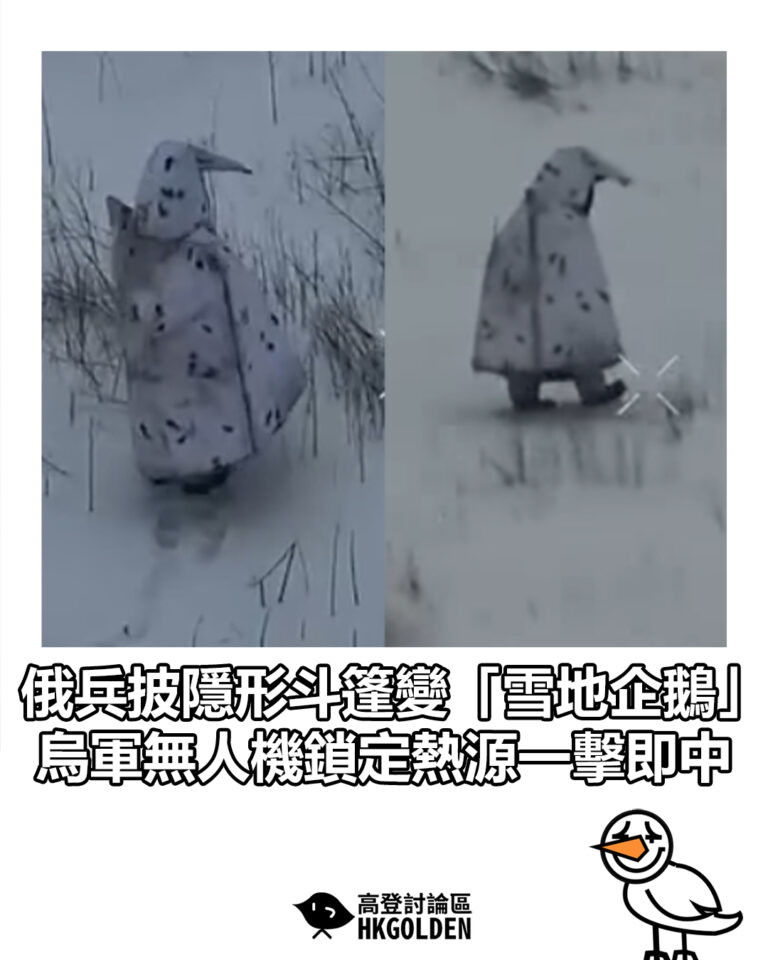 【俄兵披隱形斗篷變「雪地企鵝」 烏軍無人機鎖定熱源一擊即中】