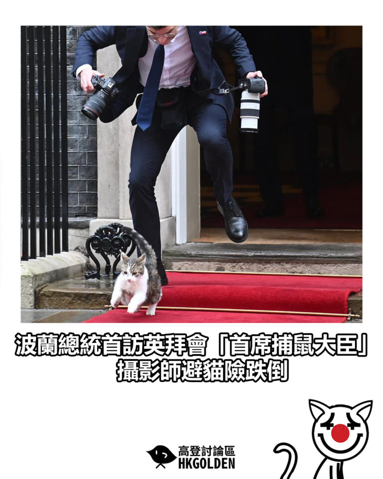 【波蘭總統首訪英拜會「首席捕鼠大臣」  攝影師避貓險跌倒】