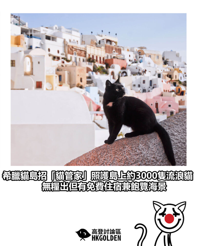 【希臘貓島招「貓管家」照護島上約3000隻流浪貓 無糧出但有免費住宿兼飽覽海景】