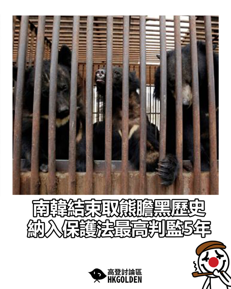【南韓結束取熊膽黑歷史 納入保護法最高判監5年】