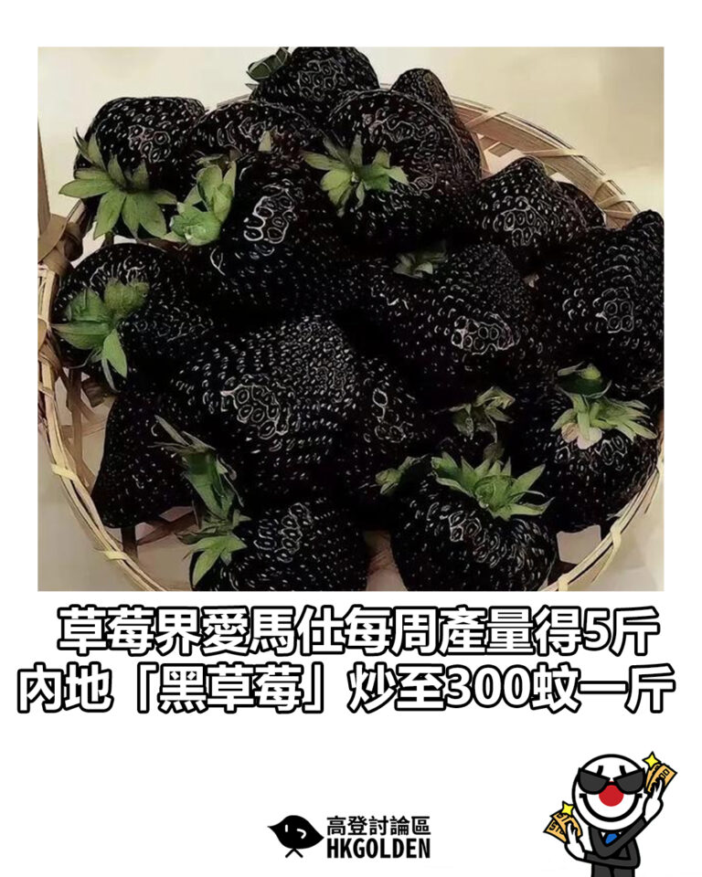 【草莓界愛馬仕每周產量得5斤 內地「黑草莓」炒至300蚊一斤】