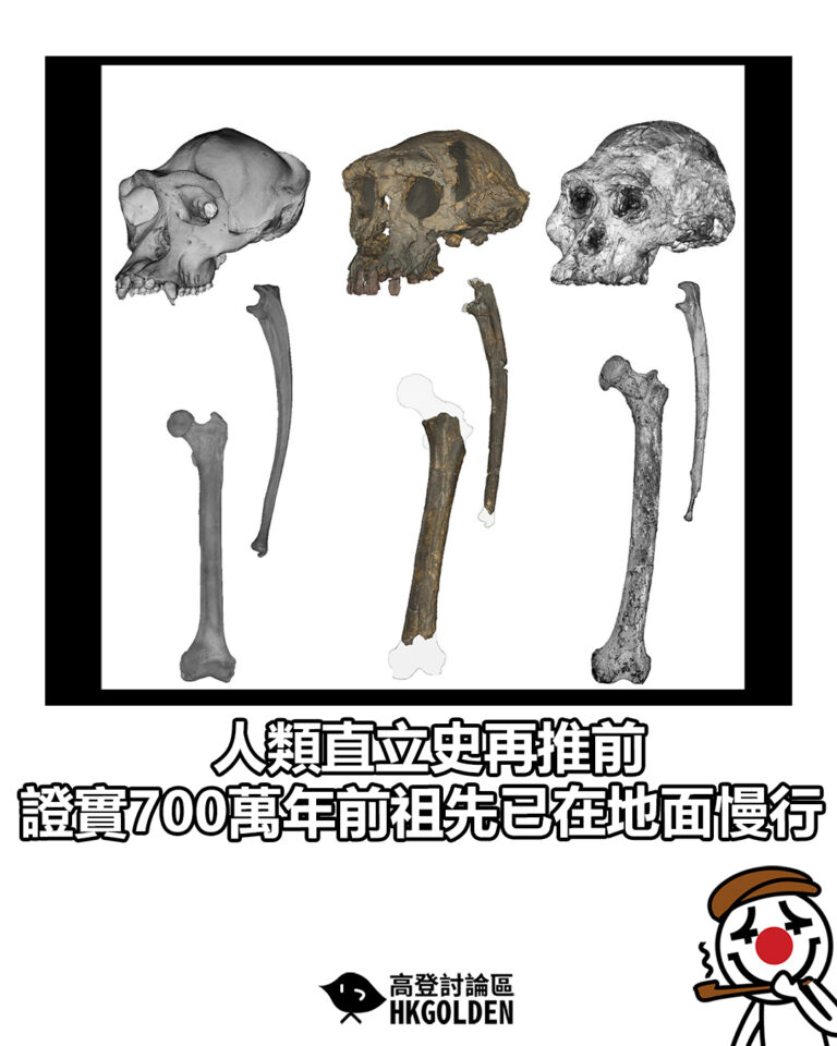 【人類直立史再推前 證實700萬年前祖先已在地面慢行】