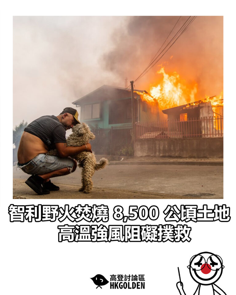 【智利野火焚燒 8,500 公頃土地  高溫強風阻礙撲救】