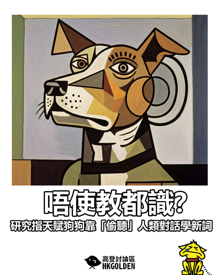 【唔使教都識？研究指天賦狗狗靠「偷聽」人類對話學新詞】