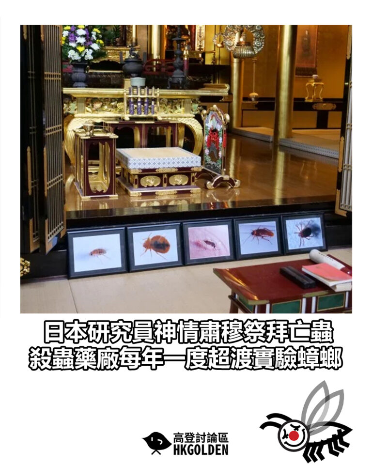 【日本研究員神情肅穆祭拜亡蟲 殺蟲藥廠每年一度超渡實驗蟑螂】