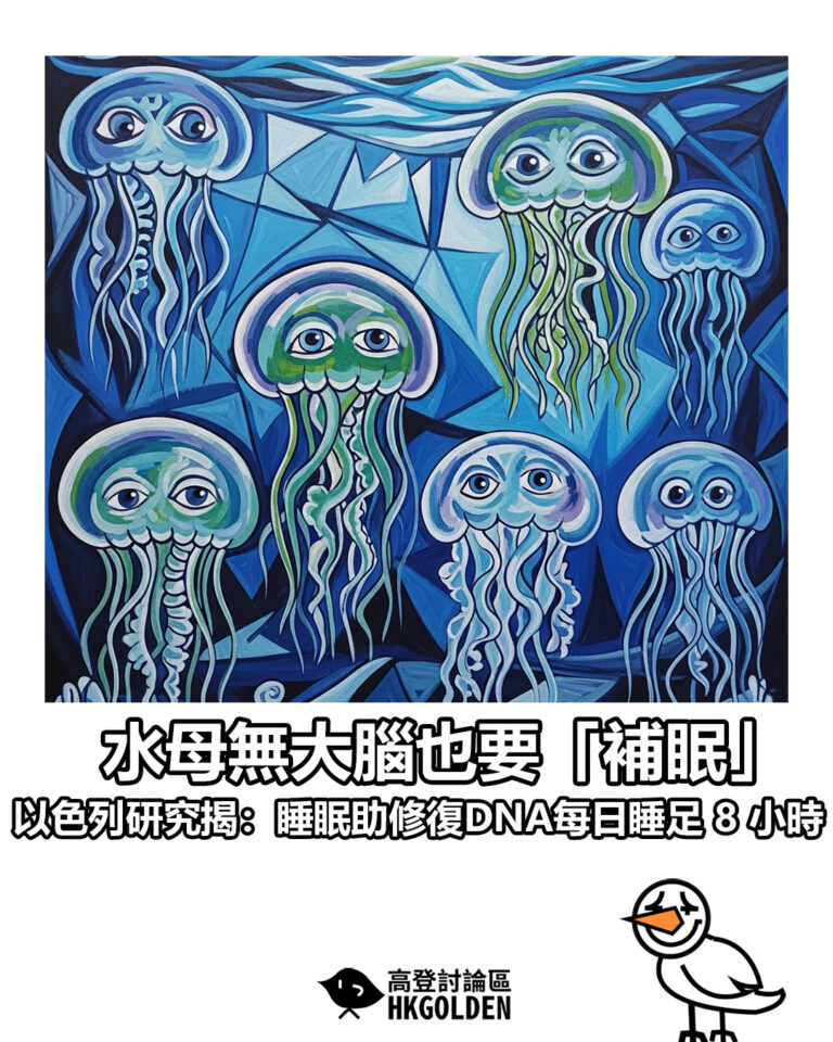 【水母無大腦也要「補眠」  以色列研究揭：睡眠助修復DNA每日睡足 8 小時】