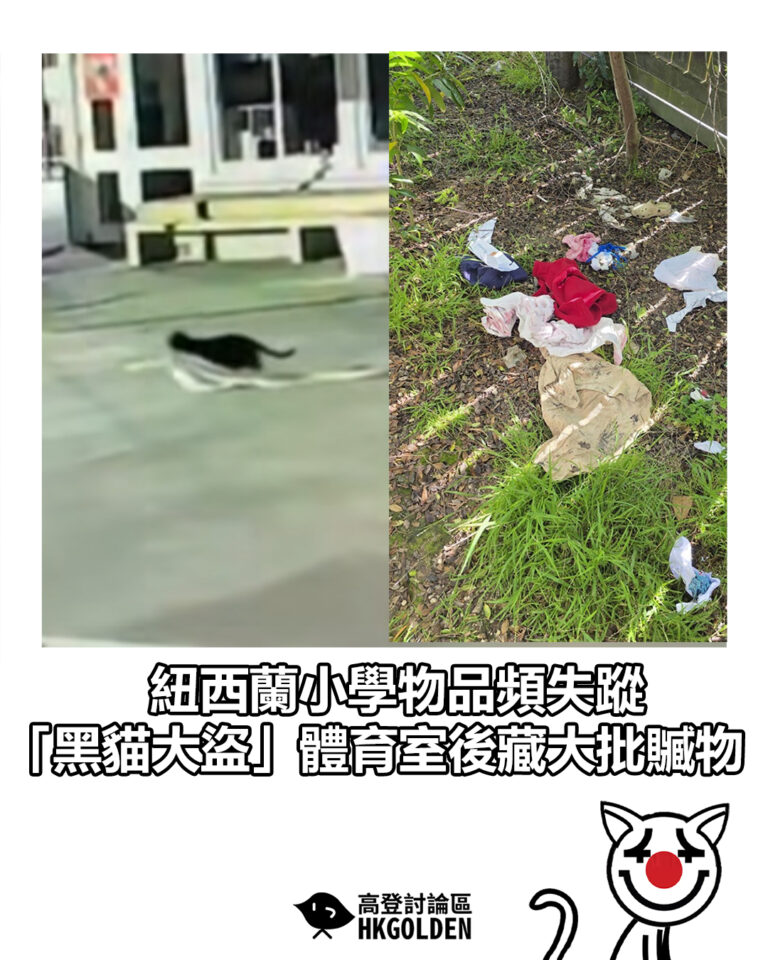 【紐西蘭小學物品頻失蹤　「黑貓大盜」體育室後藏大批贓物】