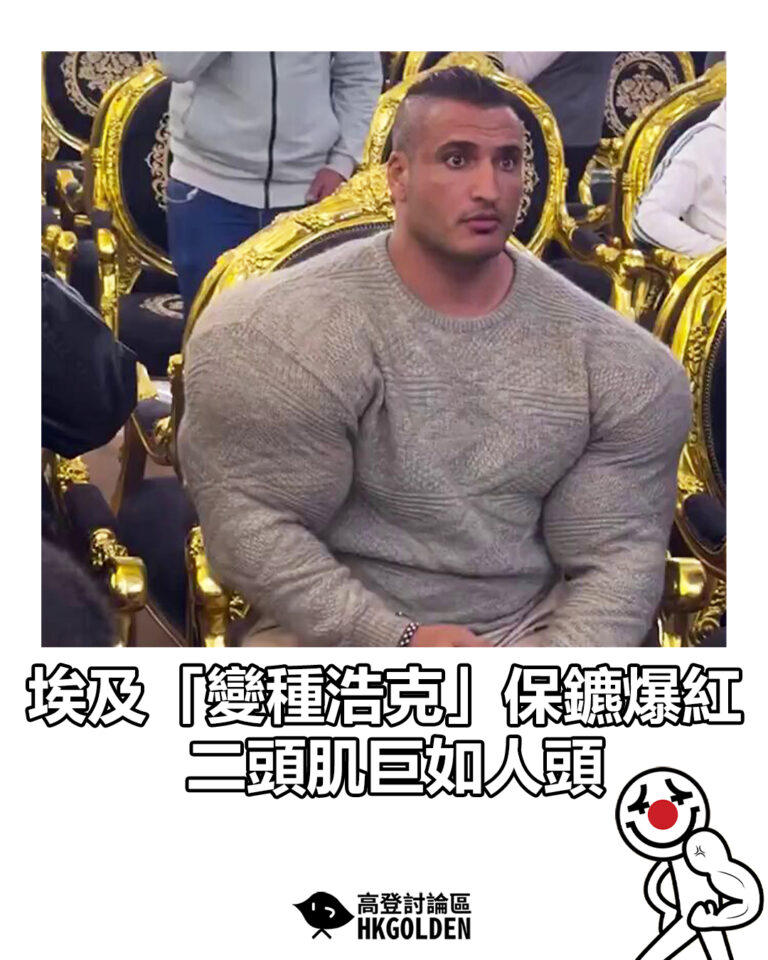 【埃及「變種浩克」保鑣爆紅  二頭肌巨如人頭】