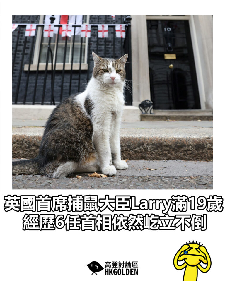 【英國首席捕鼠大臣Larry滿19歲 經歷6任首相依然屹立不倒】