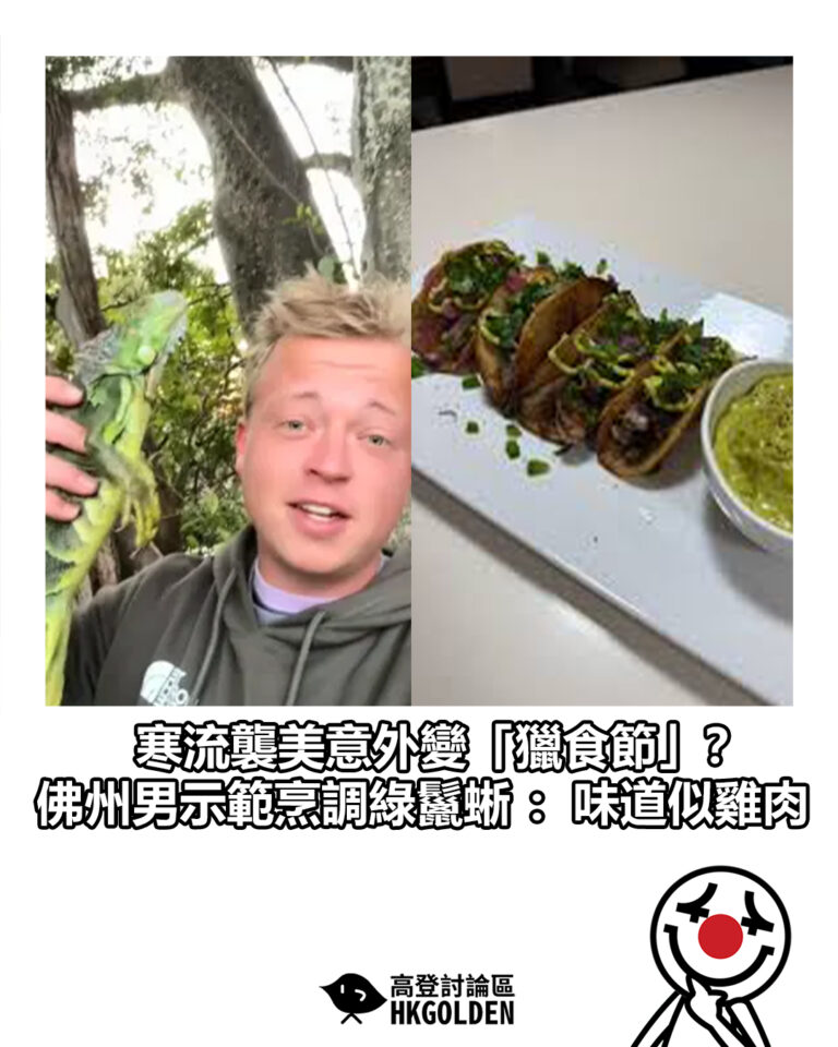 【寒流襲美意外變「獵食節」？佛州男示範烹調綠鬣蜥：味道似雞肉】