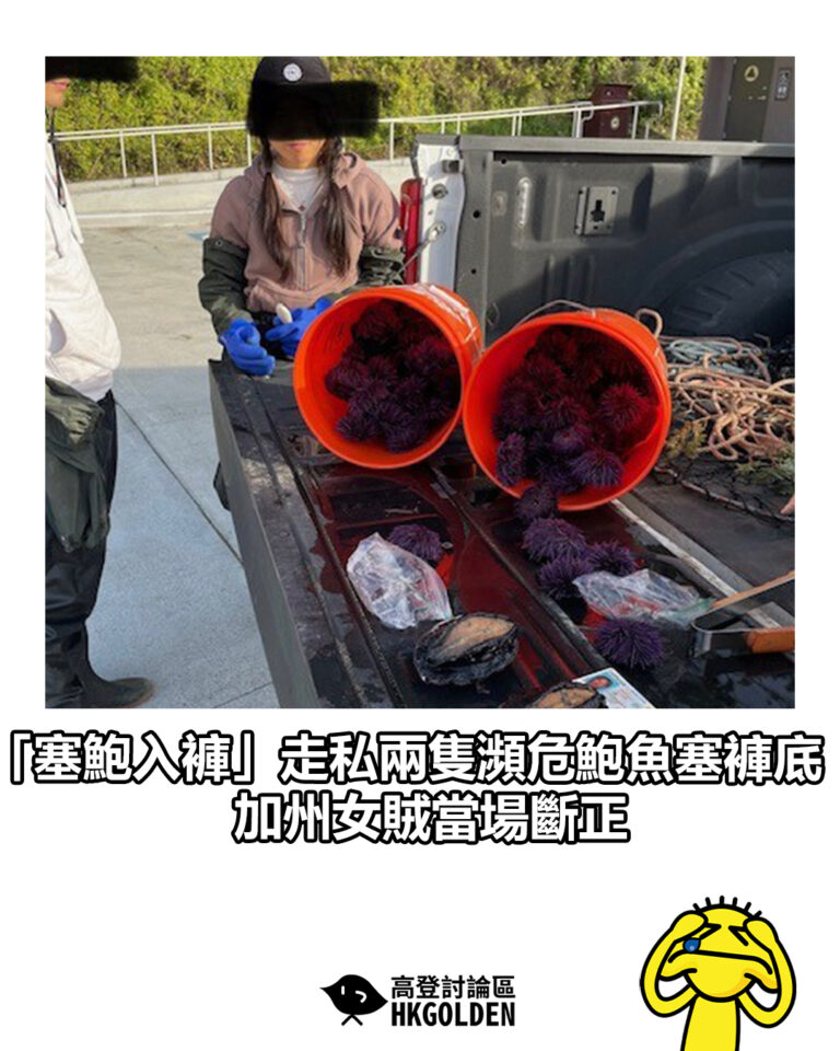 【「塞鮑入褲」走私兩隻瀕危鮑魚塞褲底 加州女賊當場斷正】
