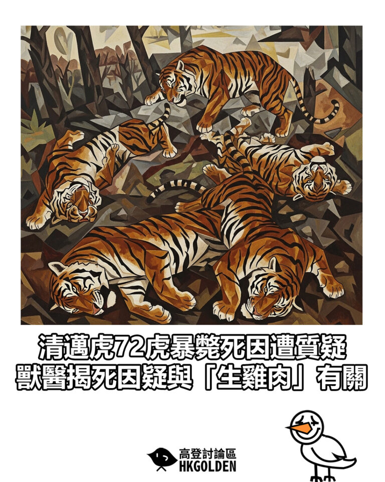 【清邁虎72虎暴斃死因遭質疑 獸醫揭死因疑與「生雞肉」有關】