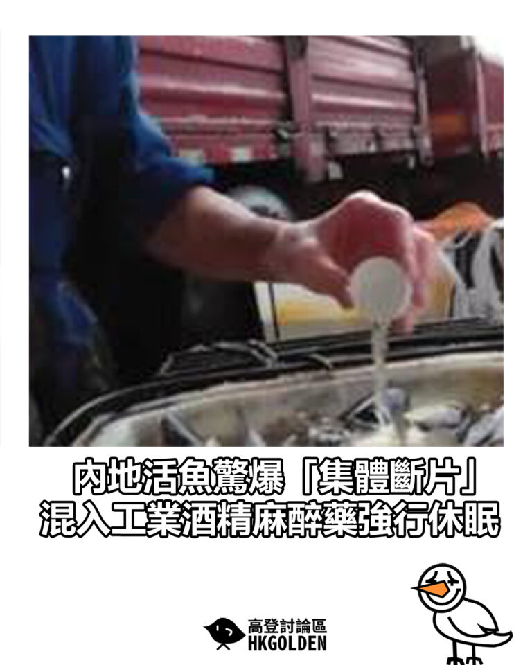 【內地活魚驚爆「集體斷片」  混入工業酒精麻醉藥強行休眠】