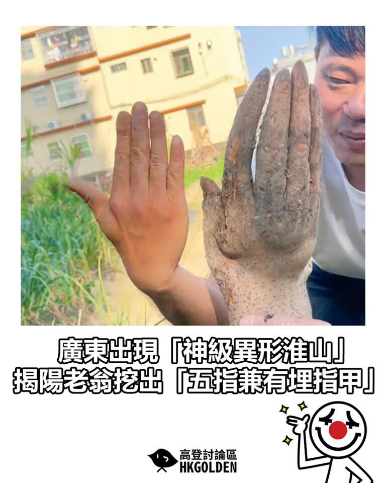 【廣東出現「神級異形淮山」 揭陽老翁挖出「五指兼有埋指甲」】