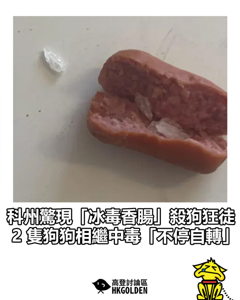 【科州驚現「冰毒香腸」殺狗狂徒 2 隻狗狗相繼中毒「不停自轉」】 【科州驚現「冰毒香腸」殺狗狂徒 2 隻狗狗相繼中毒「不停自轉」】