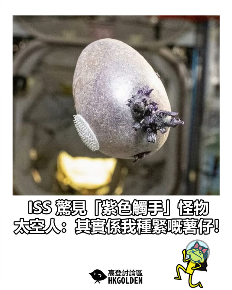 【 ISS 驚見「紫色觸手」怪物 太空人:其實係我種緊嘅薯仔!】 【 ISS 驚見「紫色觸手」怪物 太空人:其實係我種緊嘅薯仔!】