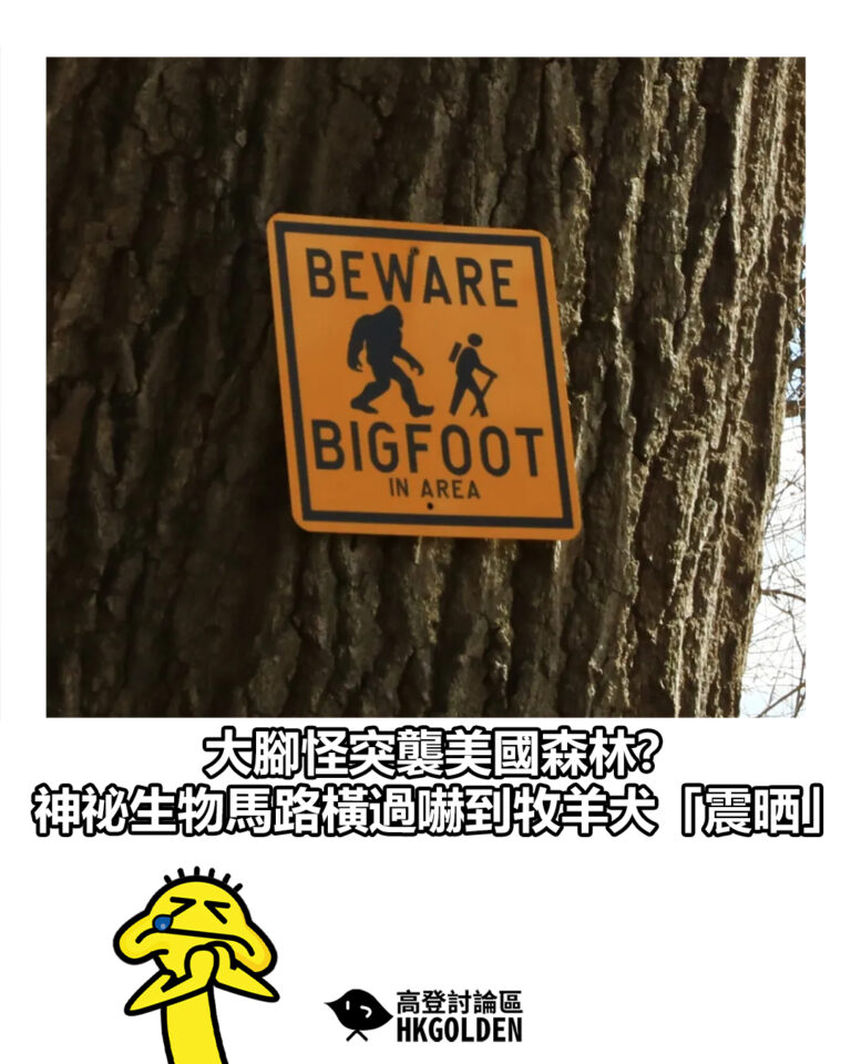 【大腳怪突襲美國森林？神祕生物馬路橫過嚇到牧羊犬「震晒」】