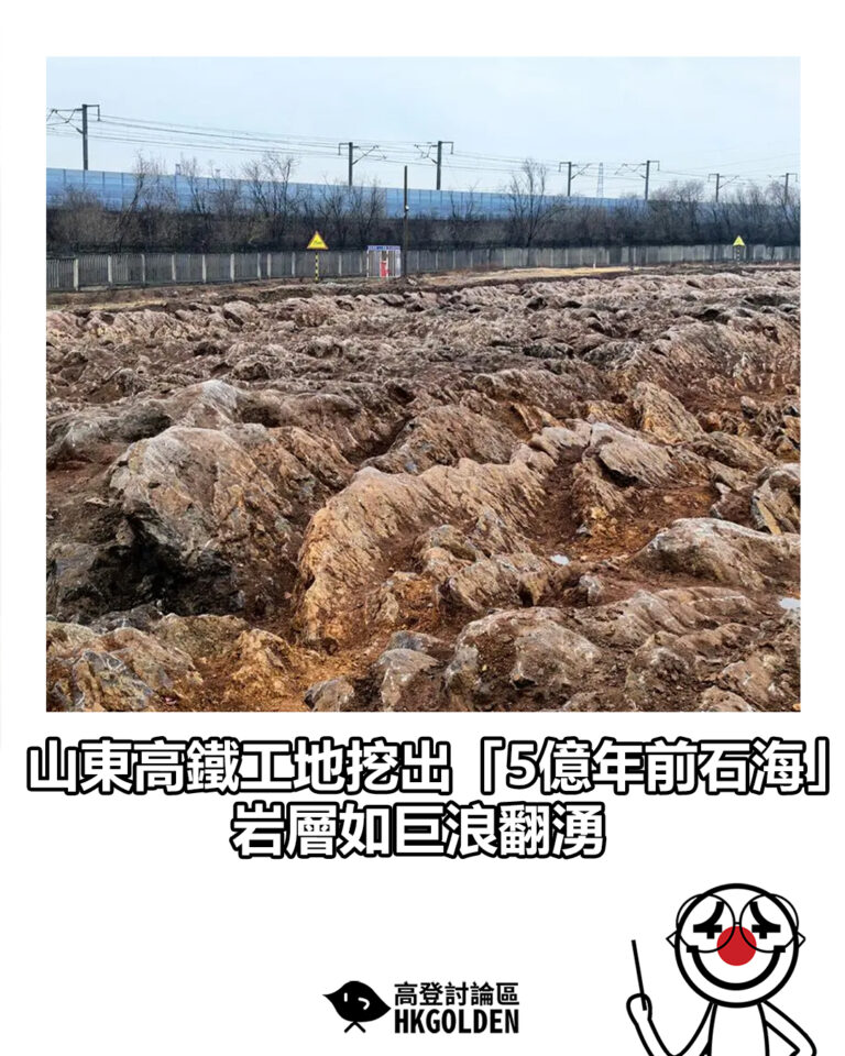 【山東高鐵工地挖出「5億年前石海」 岩層如巨浪翻湧】