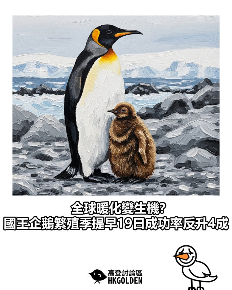 【全球暖化變生機？國王企鵝繁殖季提早19日成功率反升4成】