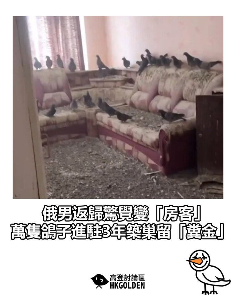 【俄男返歸驚覺變「房客」  萬隻鴿子進駐3年築巢留「糞金」】