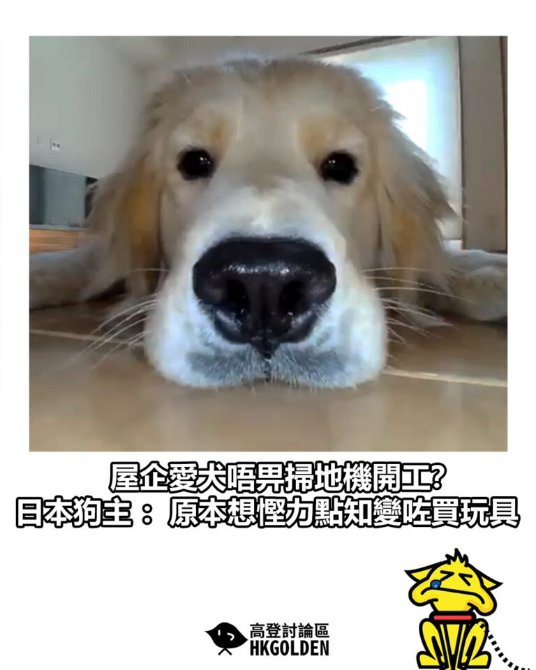 【屋企愛犬唔畀掃地機開工？ 日本狗主：原本想慳力點知變咗買玩具】