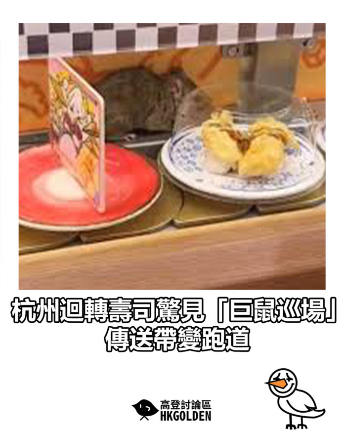 fdhdhsd