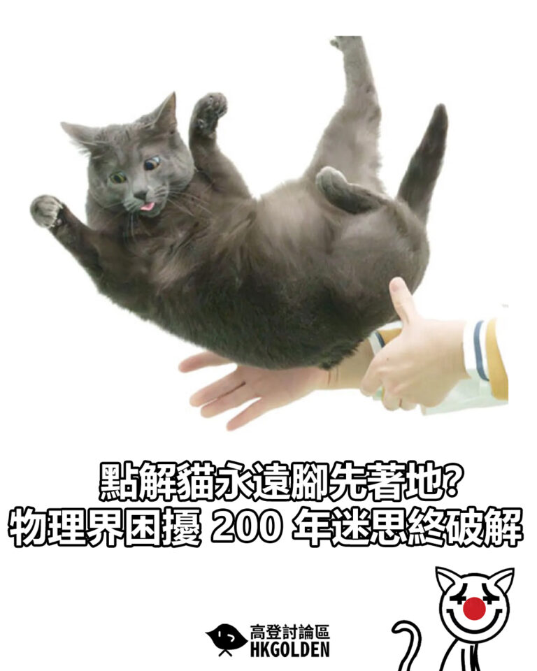 【點解貓永遠腳先著地？物理界困擾 200 年迷思終破解】