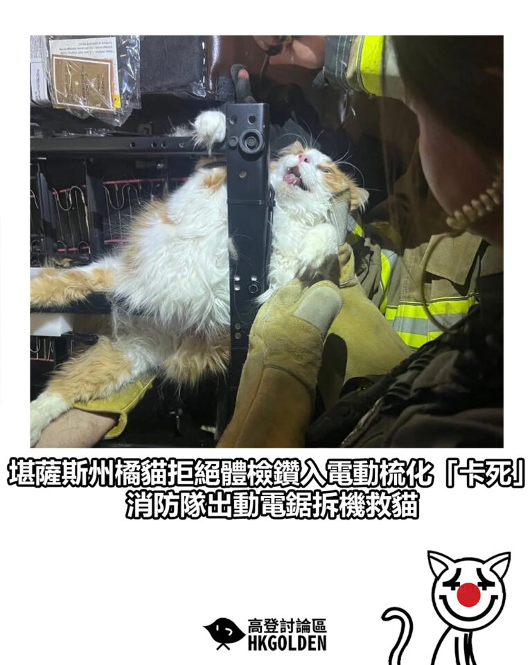 【堪薩斯州橘貓拒絕體檢鑽入電動梳化「卡死」 消防隊出動電鋸拆機救貓】 【堪薩斯州橘貓拒絕體檢鑽入電動梳化「卡死」 消防隊出動電鋸拆機救貓】