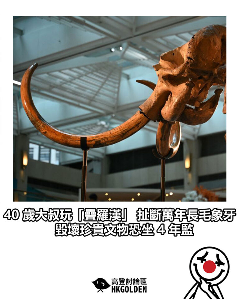 【40 歲大叔玩「疊羅漢」 扯斷萬年長毛象牙 毀壞珍貴文物恐坐 4 年監】