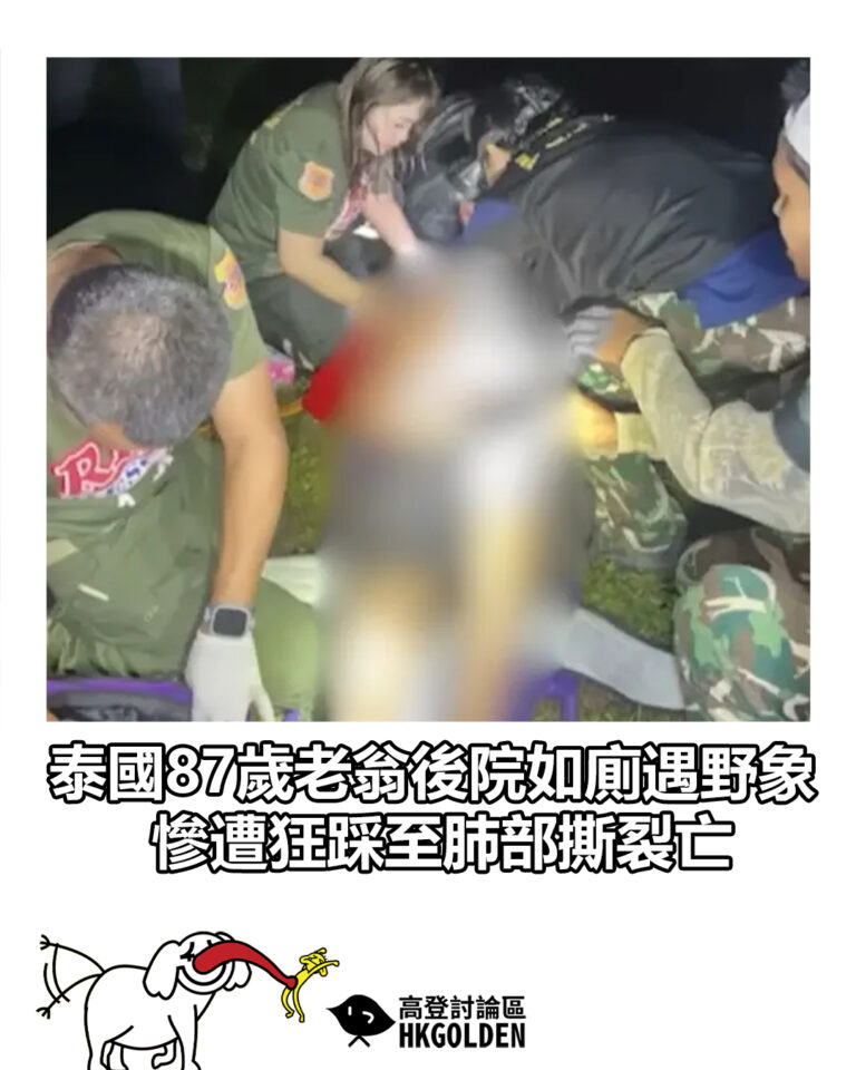 【泰國87歲老翁後院如廁遇野象 慘遭狂踩至肺部撕裂亡】