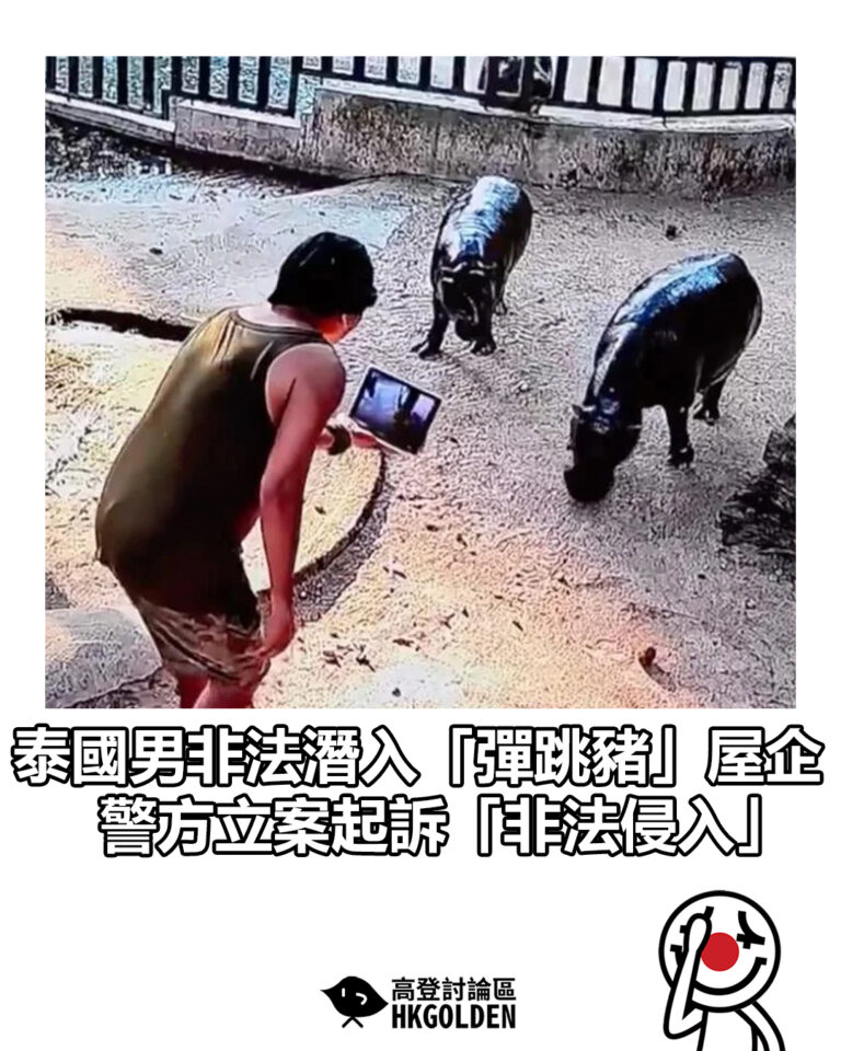 【泰國男非法潛入「彈跳豬」屋企 警方立案起訴「非法侵入」】