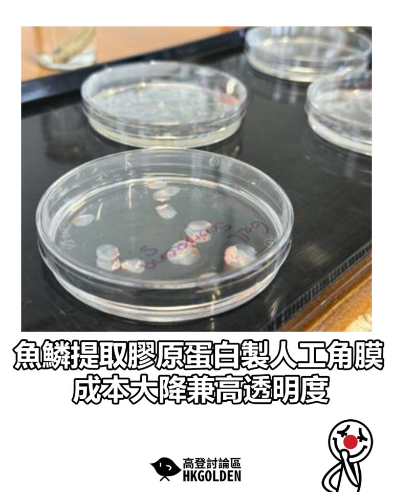 【魚鱗提取膠原蛋白製人工角膜 成本大降兼高透明度】