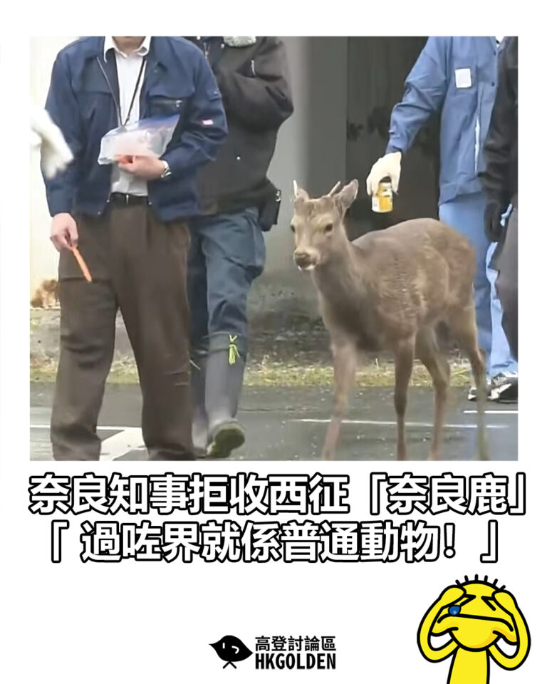 【奈良知事拒收西征「奈良鹿」 「過咗界就係普通動物!」】 【奈良知事拒收西征「奈良鹿」 「過咗界就係普通動物!」】